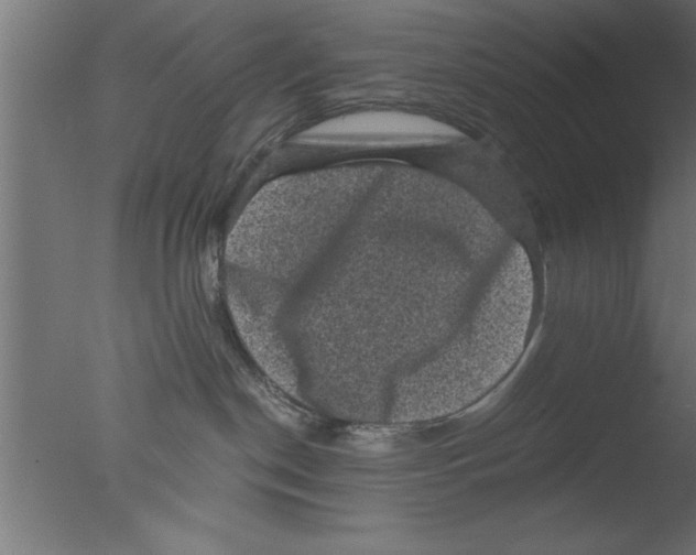 X0000076030190200610201837