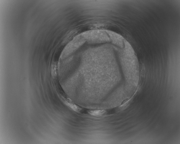 X0000076030191200610201837