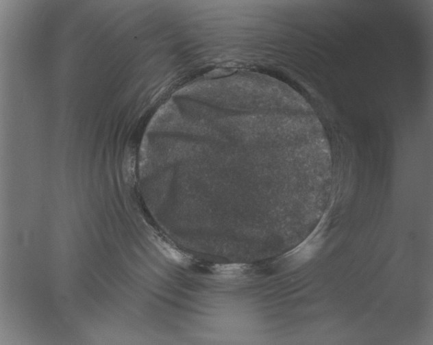 X0000076030192200610201837