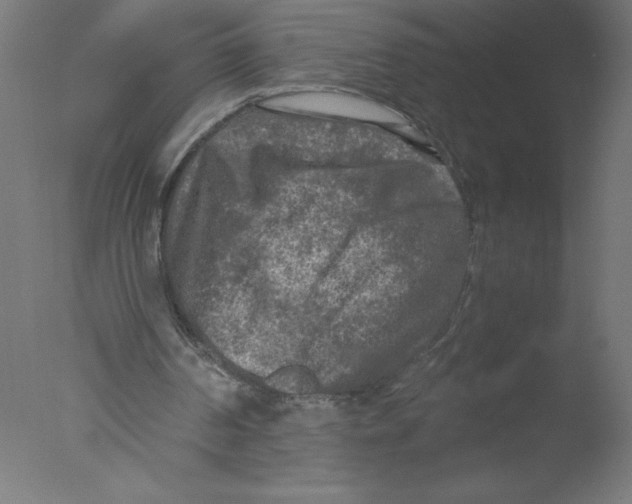 X0000076030194200610201836