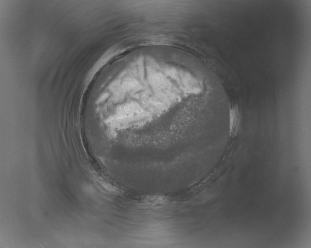 X0000076030195200610201836