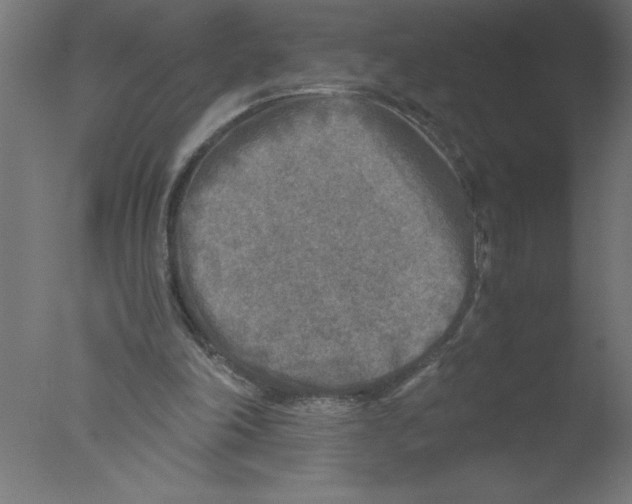 X0000076030198200610201836