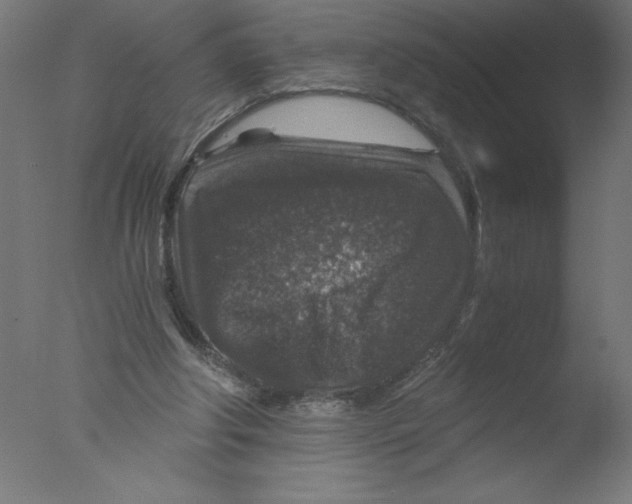 X0000076030202200610201836