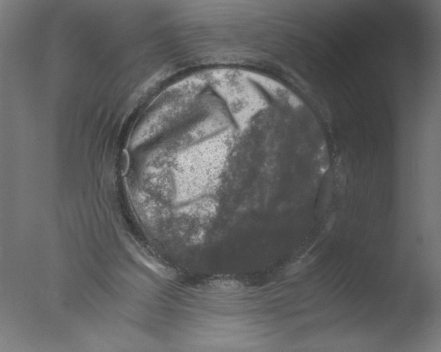 X0000076030203200610201836