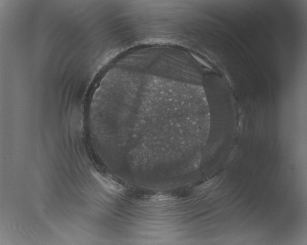 X0000076030204200610201836