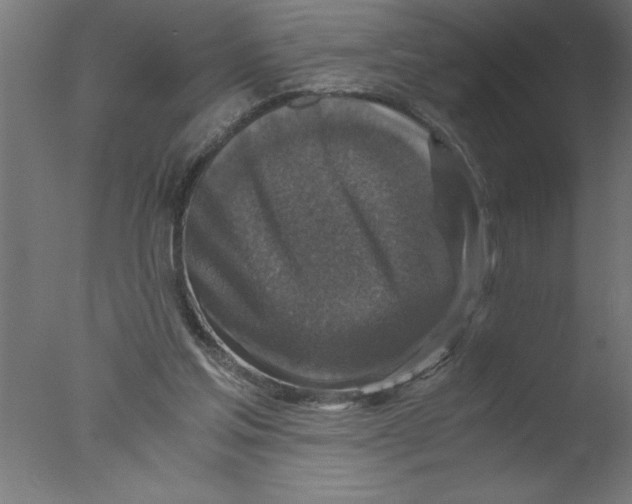 X0000076030205200610201836