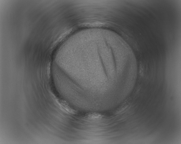 X0000076030206200610201836