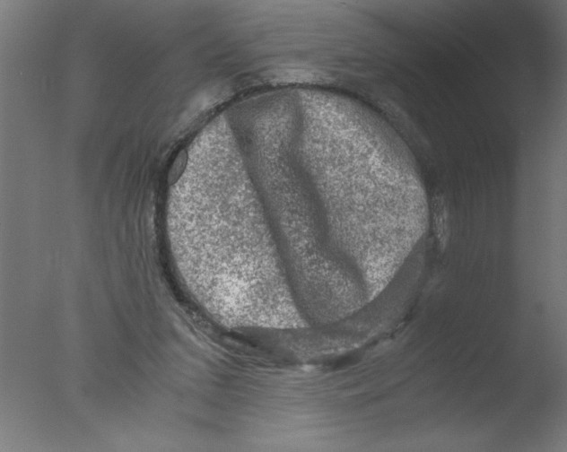 X0000076030207200610201836