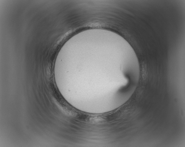 X0000076030208200610201836