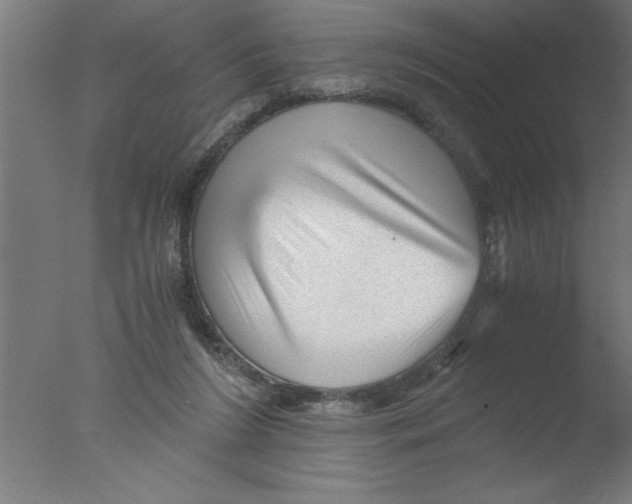 X0000076030212200610201836