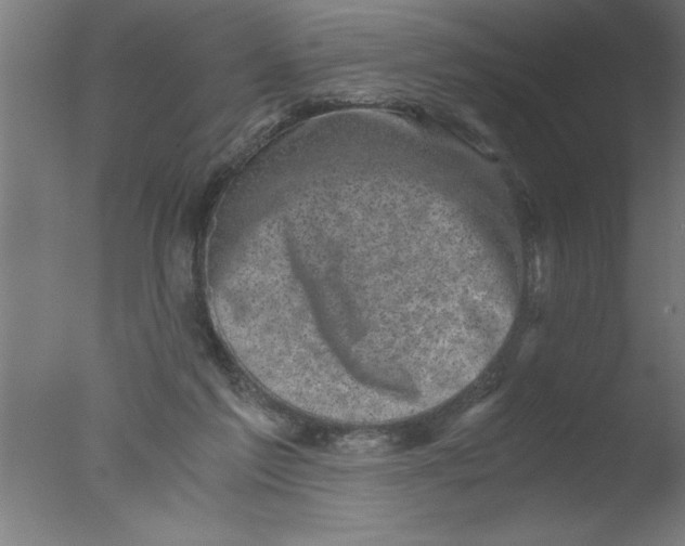 X0000076030213200610201836