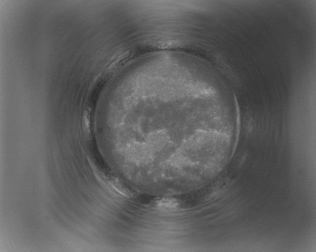 X0000076030214200610201836