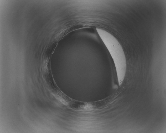 X0000076030219200610201836