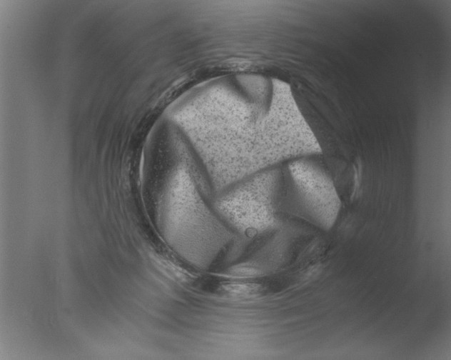 X0000076030221200610201835