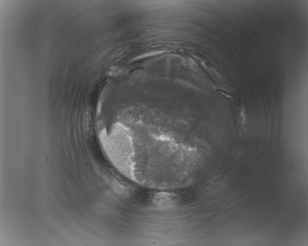 X0000076030222200610201835