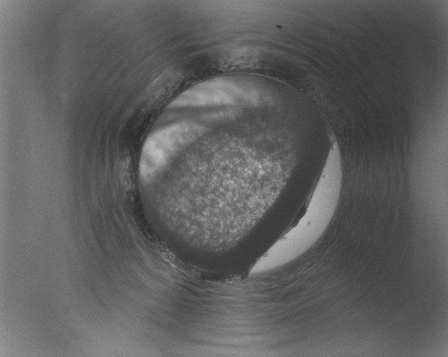 X0000076030224200610201835