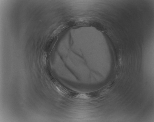 X0000076030231200610201835