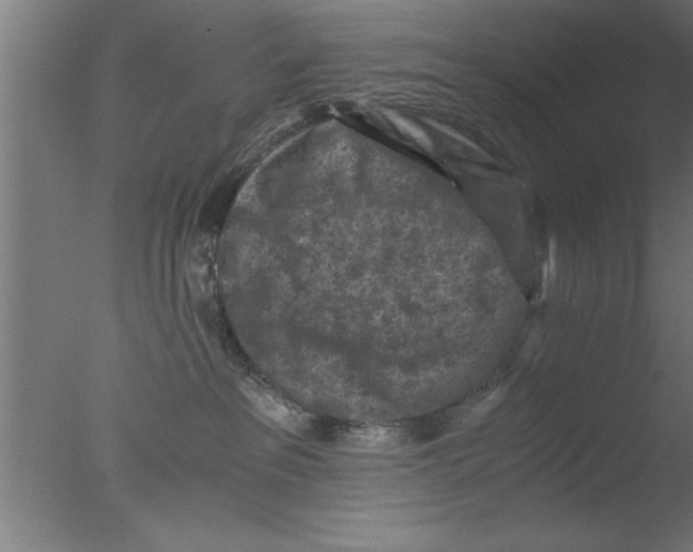 X0000076030237200610201835