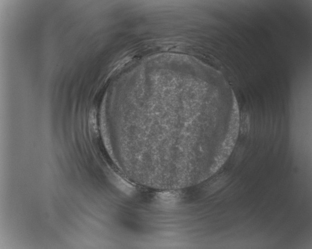 X0000076030238200610201835