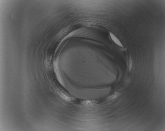 X0000076030239200610201835