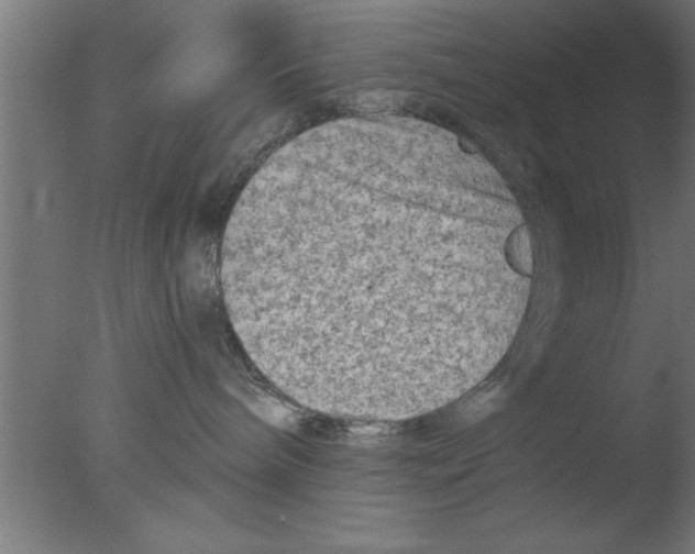 X0000076030240200610201835