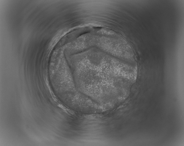 X0000076030241200610201834