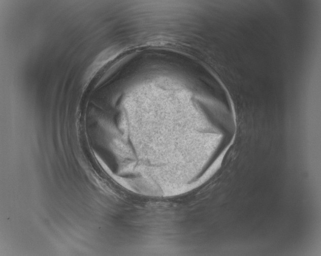 X0000076030242200610201834