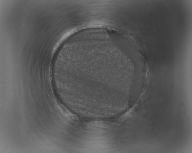 X0000076030244200610201834