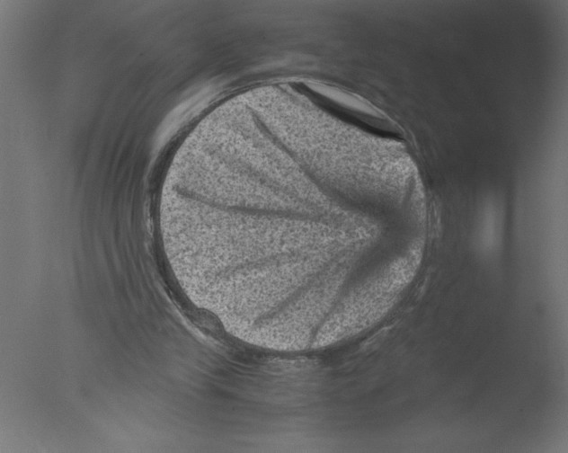 X0000076030245200610201834