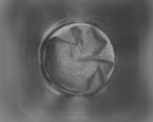 X0000076030246200610201834