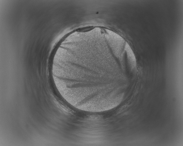 X0000076030248200610201834