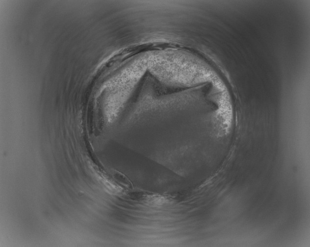 X0000076030249200610201834