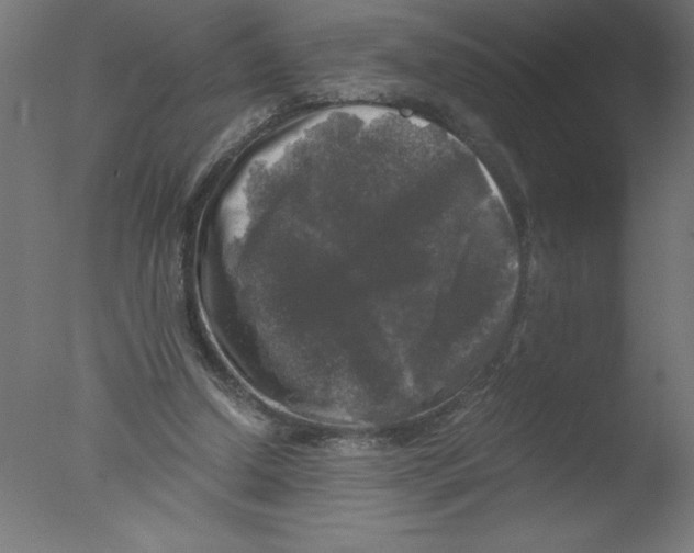 X0000076030250200610201834