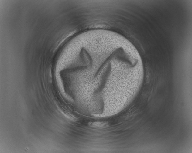 X0000076030251200610201835