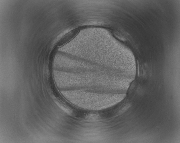 X0000076030252200610201835