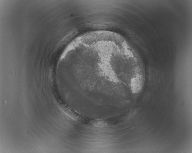 X0000076030258200610201835