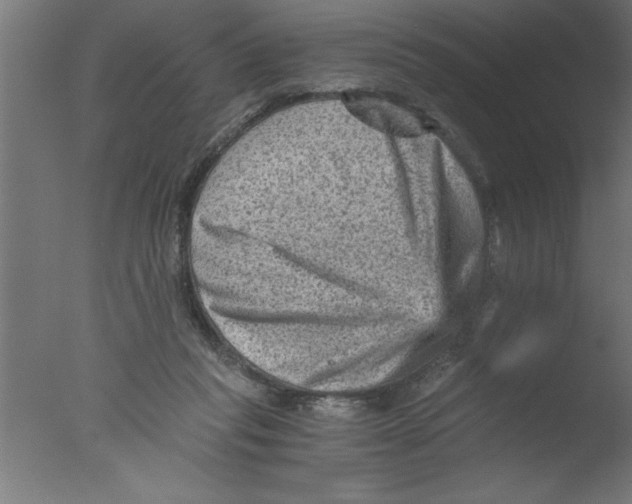 X0000076030261200610201835