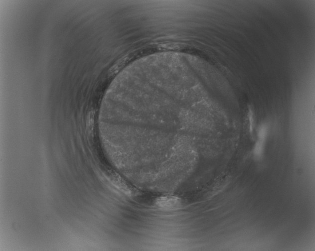 X0000076030271200610201835