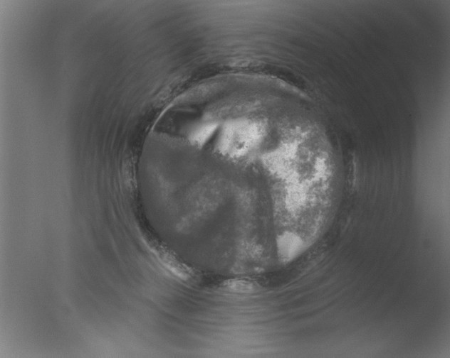 X0000076030272200610201835