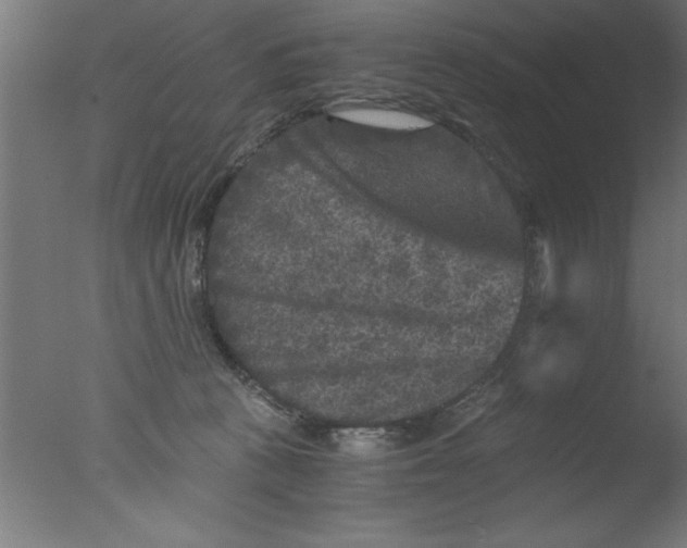 X0000076030273200610201835