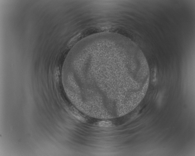 X0000076030279200610201835