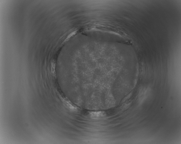 X0000076030281200610201835