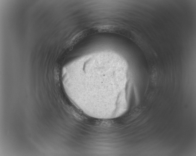 X0000076030282200610201835