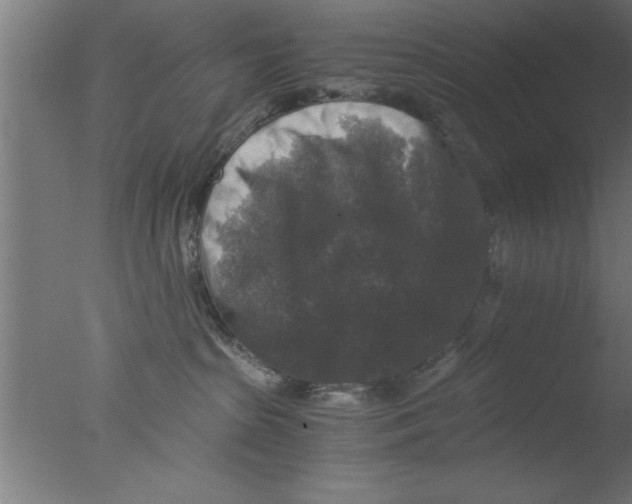 X0000076030285200610201835