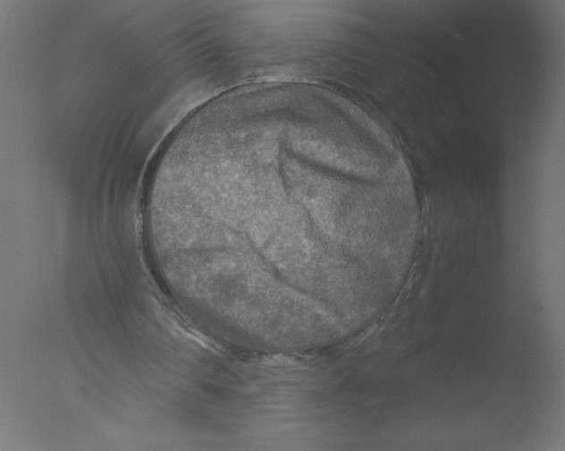 X0000076030290200610201834