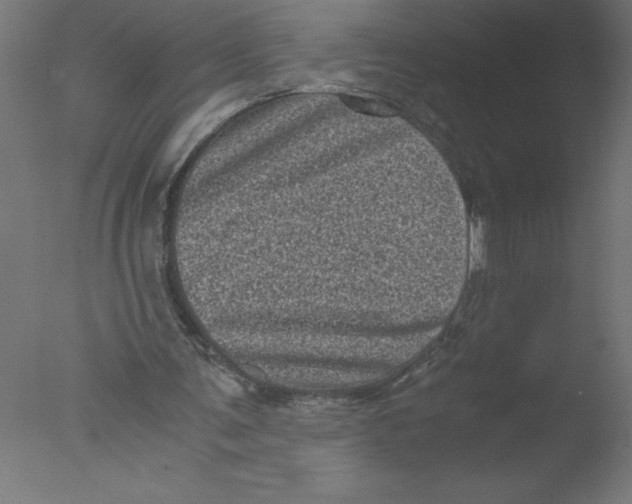 X0000076030291200610201834