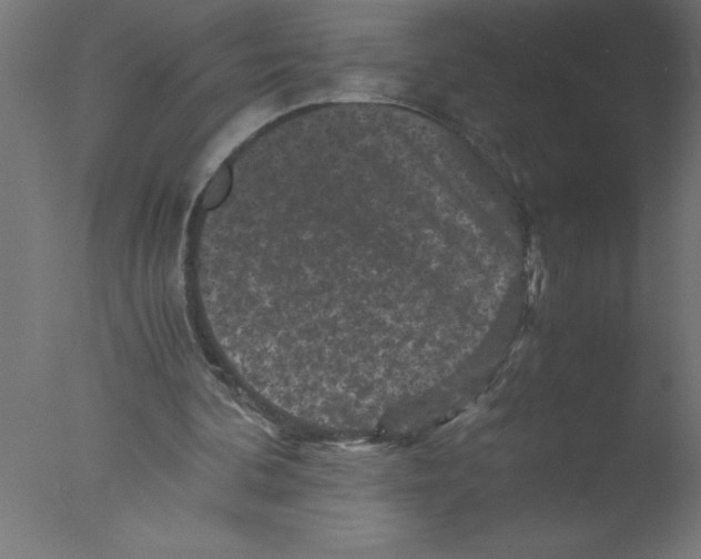 X0000076030292200610201834