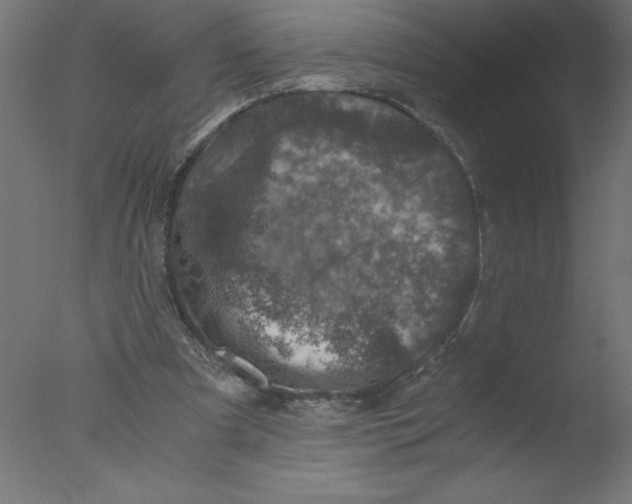 X0000076030297200610201834