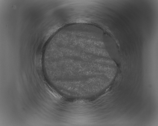 X0000076030299200610201834