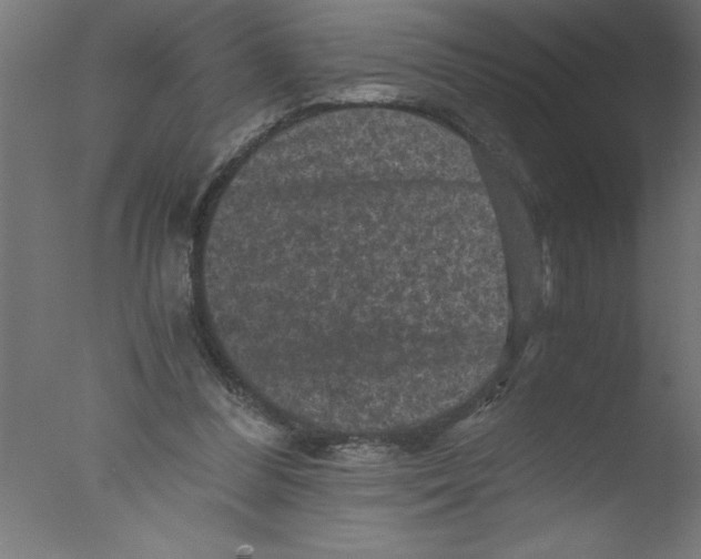 X0000076030300200610201834